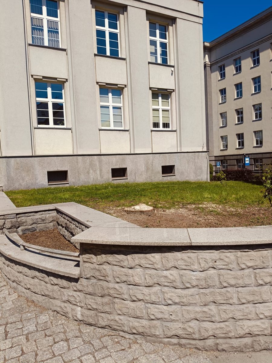 Czysty teren po wycince