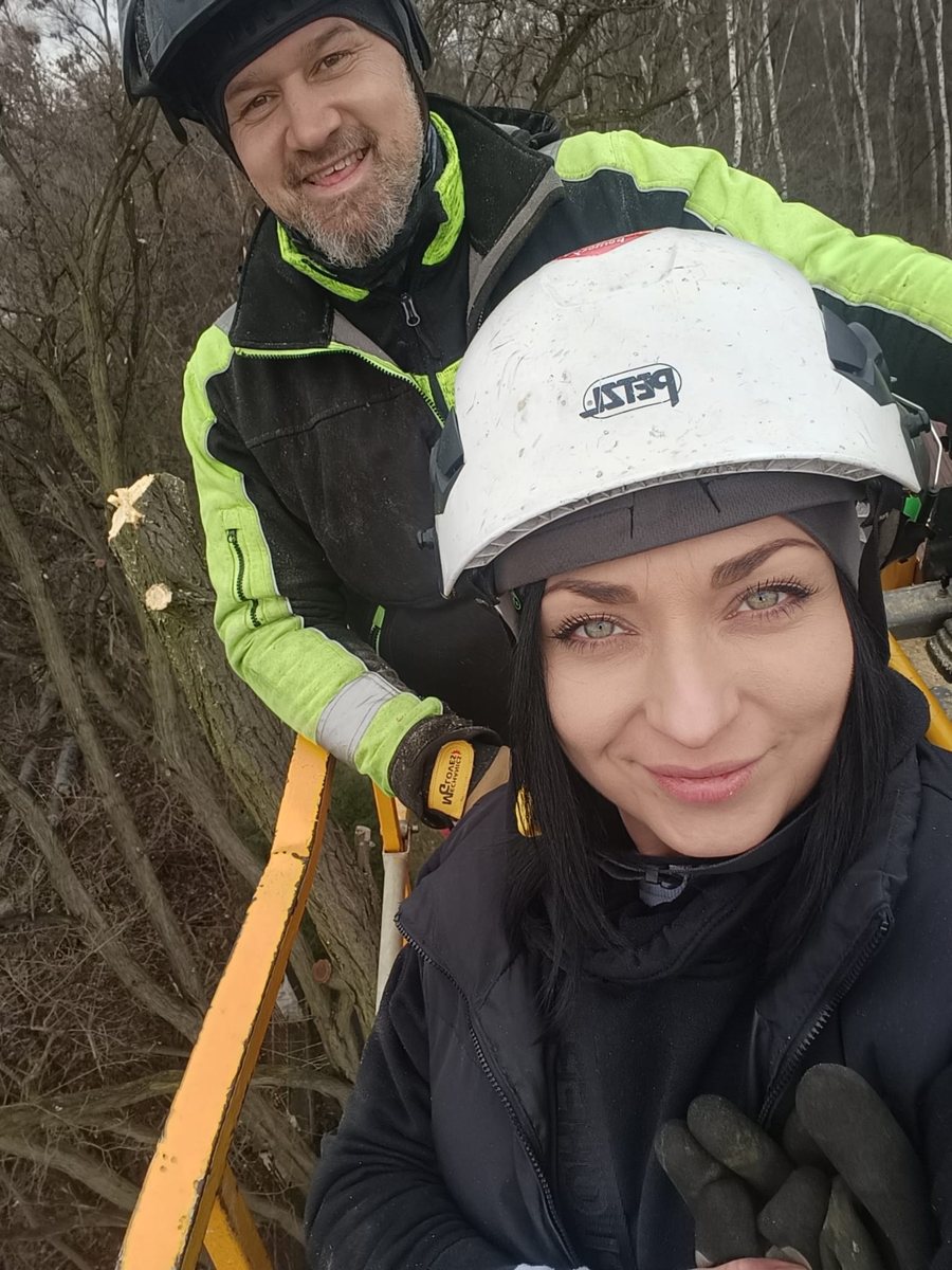 Ekipa Jurajskie Drzewa podczas pracy przy wycince drzewa